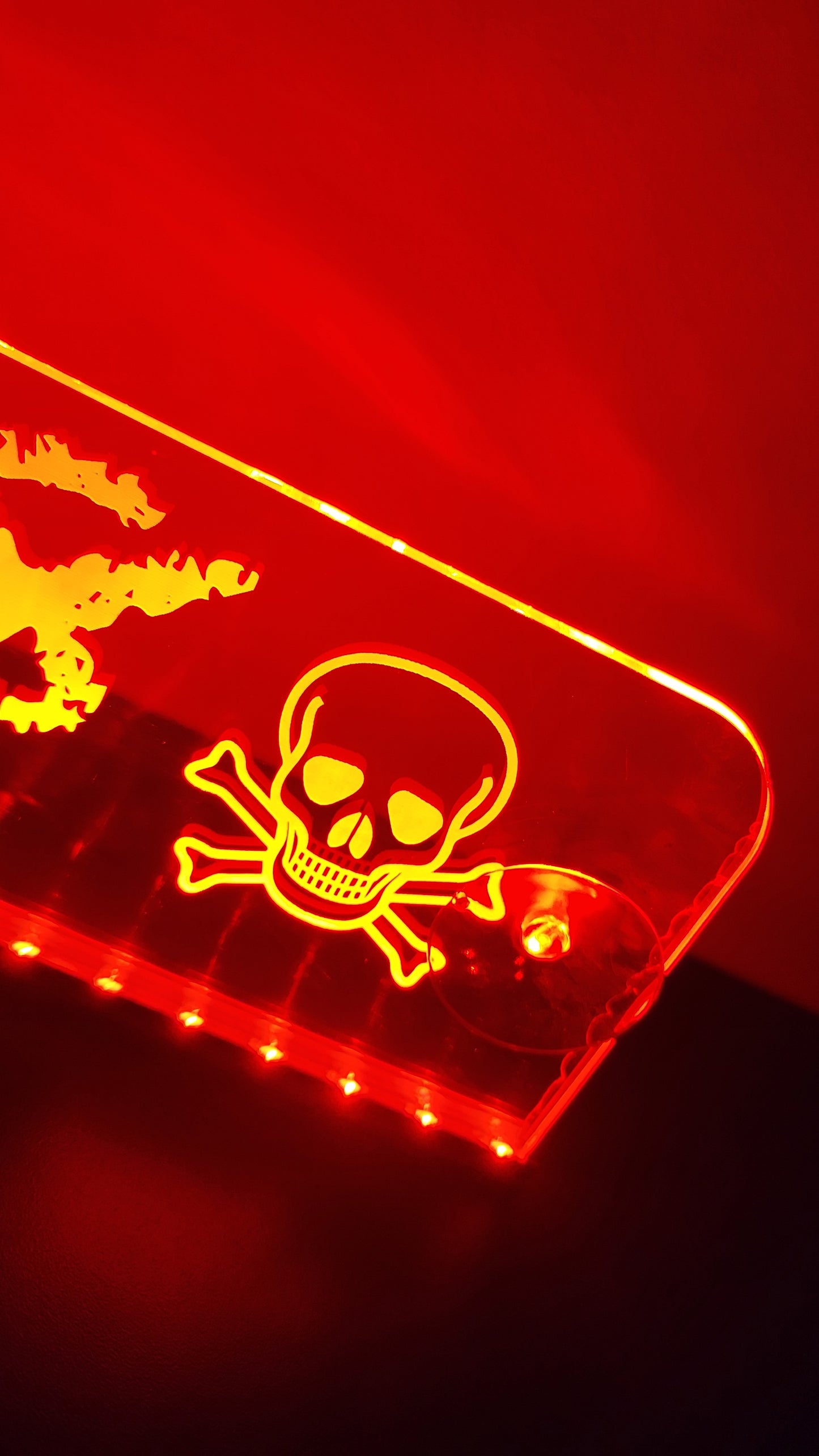 Placa Luminosa Personalizada
