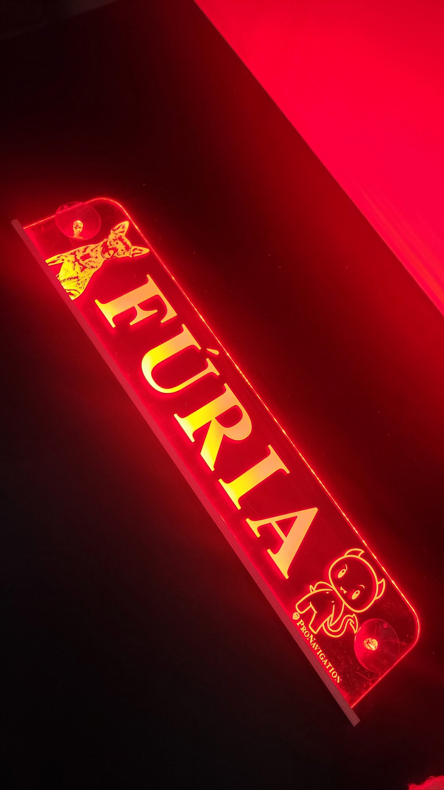 Placa Luminosa Personalizada