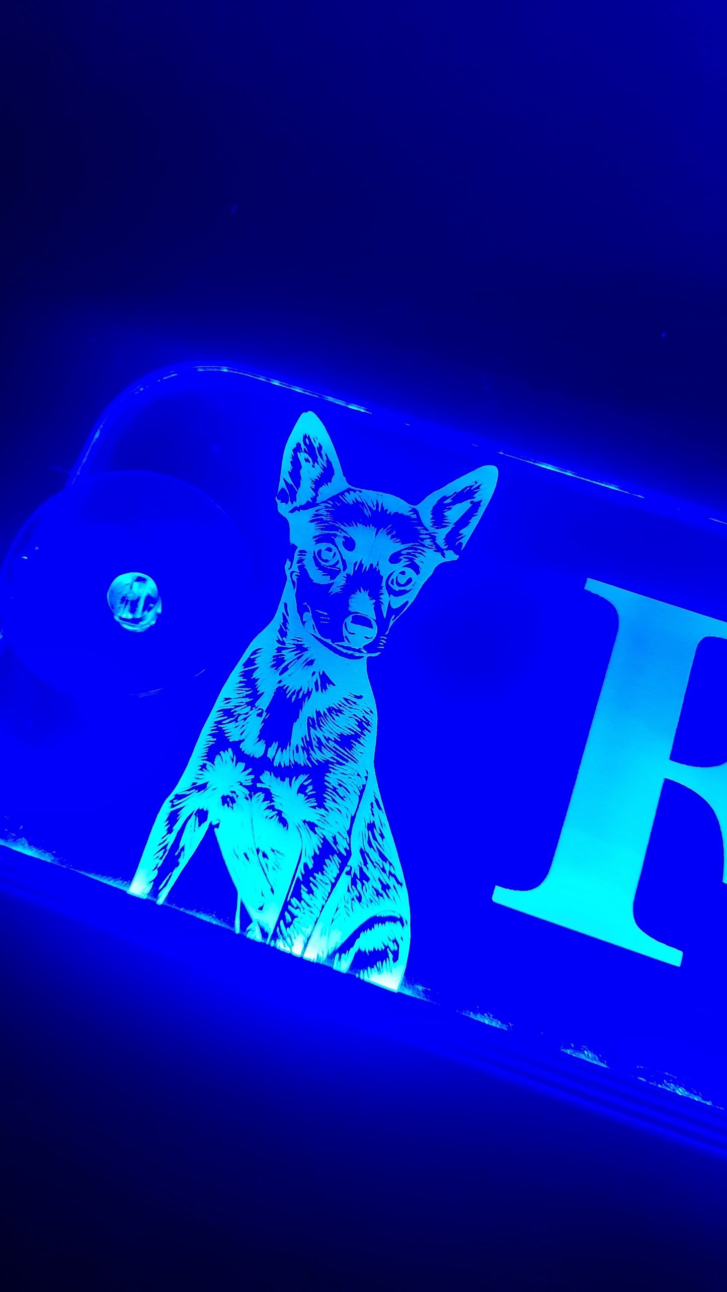 Placa Luminosa Personalizada