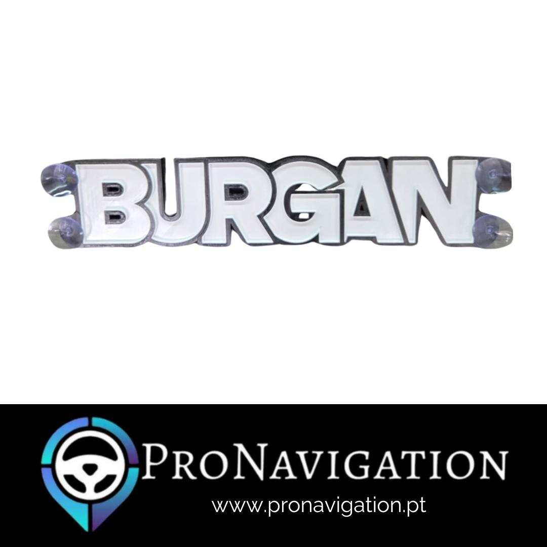 Placa Luminosa 3D