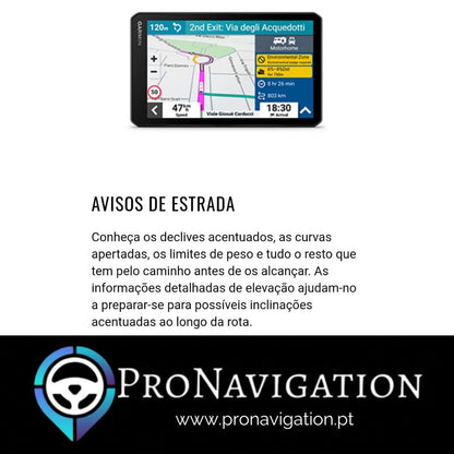 GPS Garmin Camper 795(Autocaravana)
